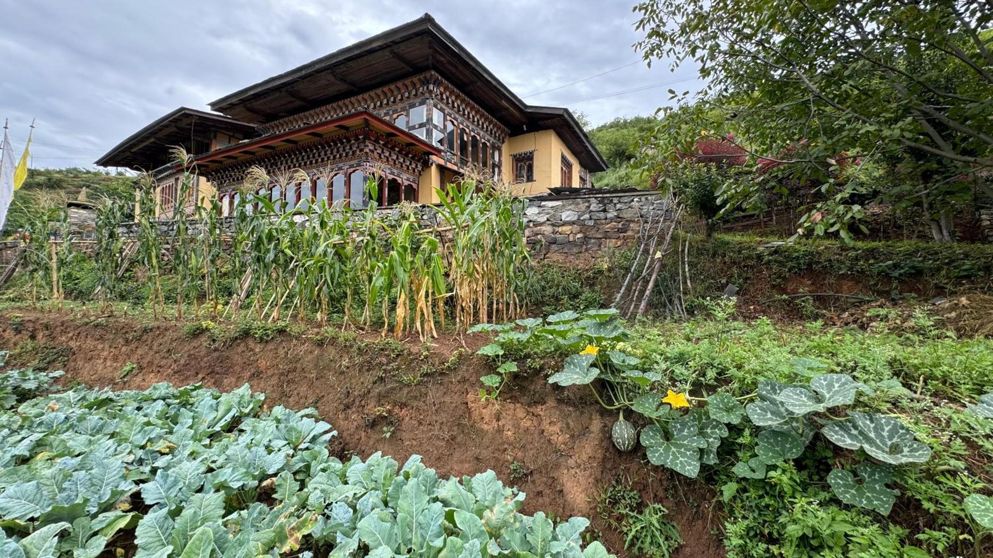 Wangdue Ecolodge Wangdue Phodrang Exterior photo