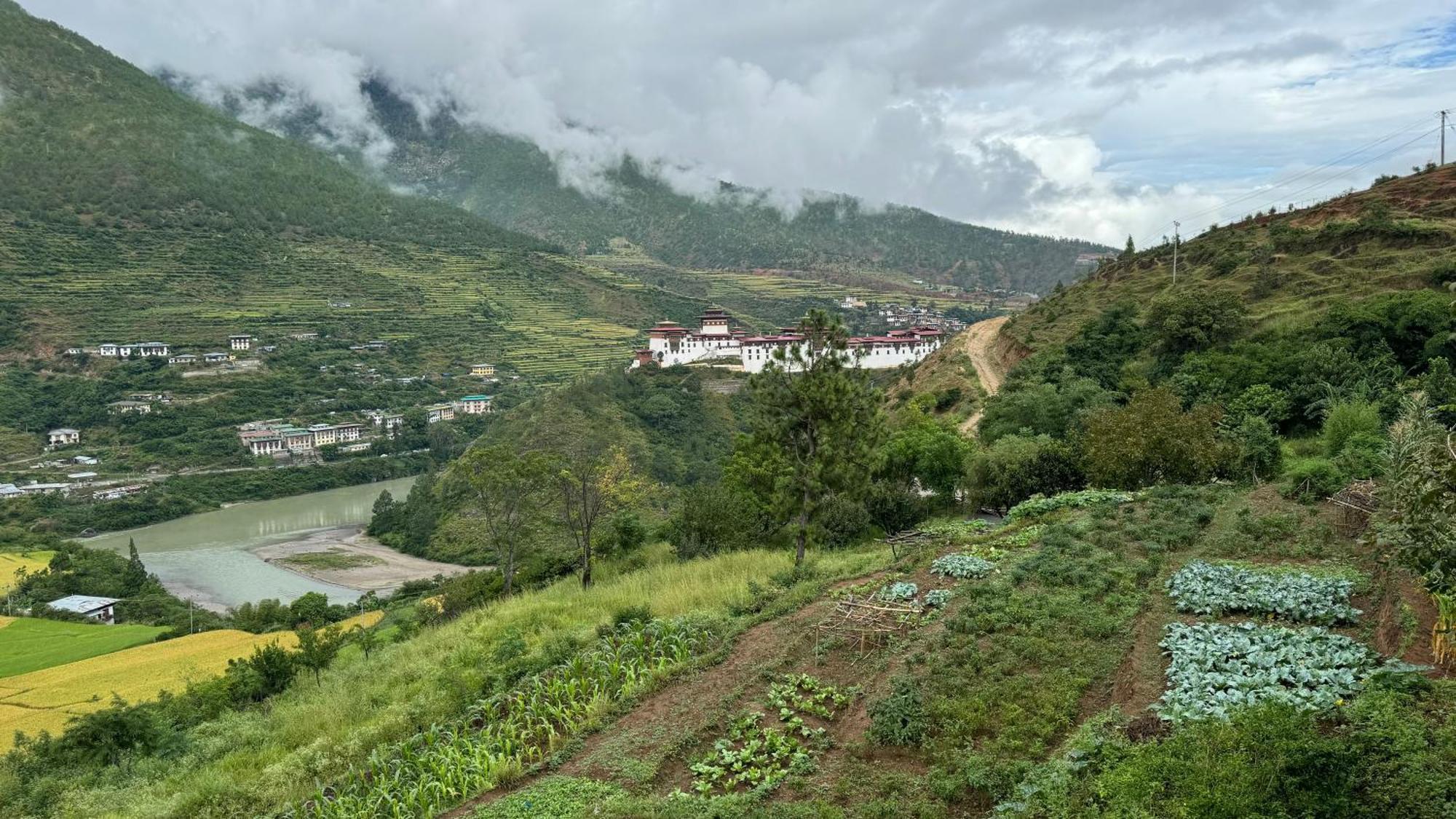 Wangdue Ecolodge Wangdue Phodrang Exterior photo