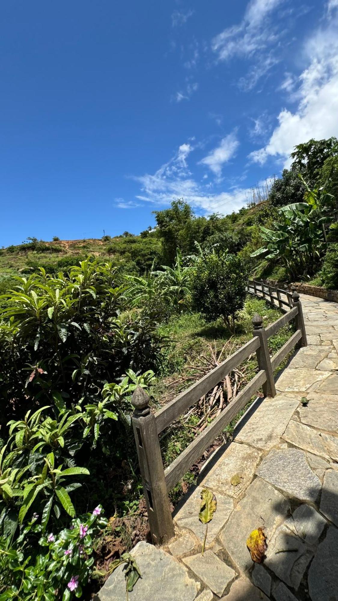 Wangdue Ecolodge Wangdue Phodrang Exterior photo